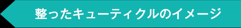 整ったキューティクルのイメージ
