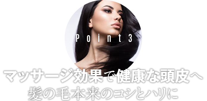 Point3マッサージ効果で健康な頭皮へ髪の毛本来のコシとハリに